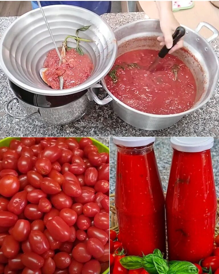 La Passata di Pomodorini Fatta in Casa: Sapore Autentico e Genuino