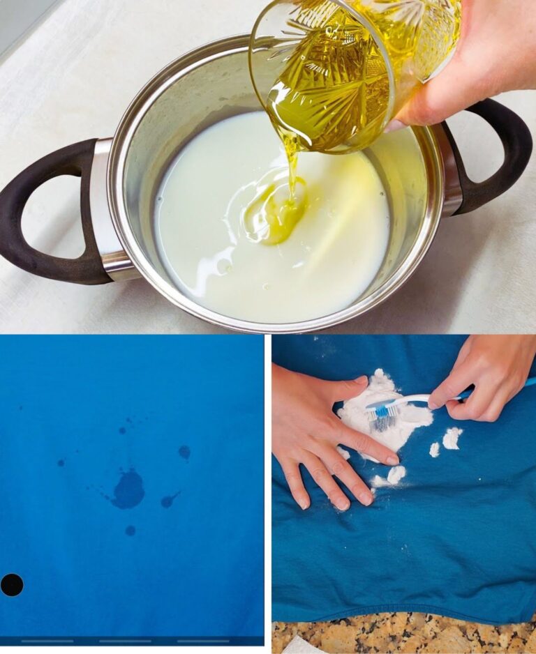 Latte e Olio d'Oliva: La Magica Combinazione per una Cucina Innovativa