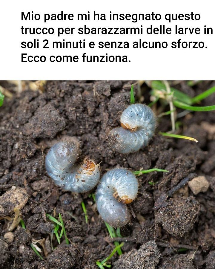 Brillante! Avrei voluto leggerlo prima!