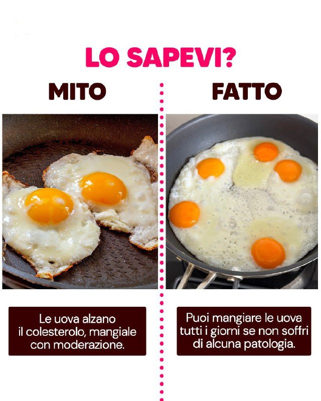 Il Mito del Colesterolo: Sfatiamo le False Credenze sulle Uova! 