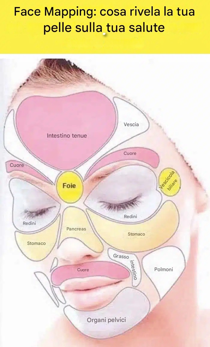 Face Mapping: cosa può rivelare la tua pelle sulla tua salute