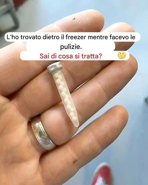 15 strane scoperte che sembravano insolite finché non sono state spiegate