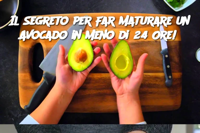Il Segreto per Far Maturare un Avocado in Meno di 24 Ore!