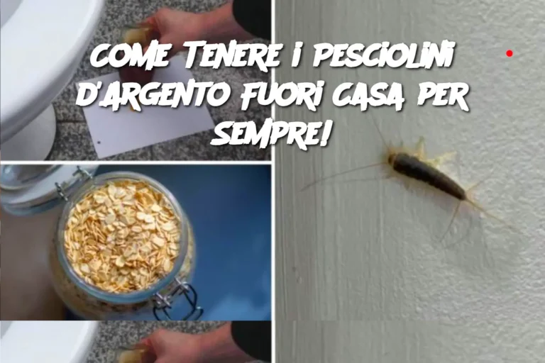 Come Tenere i Pesciolini d'Argento Fuori Casa per Sempre!