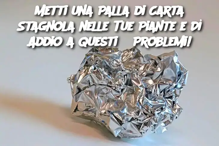 Metti una Palla di Carta Stagnola nelle Tue Piante e Dì Addio a Questi 6 Problemi!