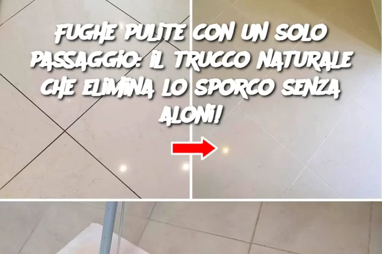 Fughe pulite con un solo passaggio: il trucco naturale che elimina lo sporco senza aloni!