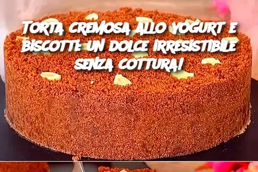 Torta cremosa allo yogurt e biscotti: un dolce irresistibile senza cottura!