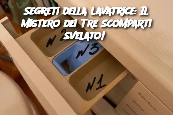 Segreti della Lavatrice: Il Mistero dei Tre Scomparti Svelato!
