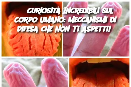 8 Curiosità Incredibili sul Corpo Umano: Meccanismi di Difesa che Non Ti Aspetti!