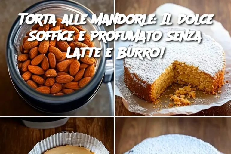 Torta alle Mandorle: Il Dolce Soffice e Profumato Senza Latte e Burro!