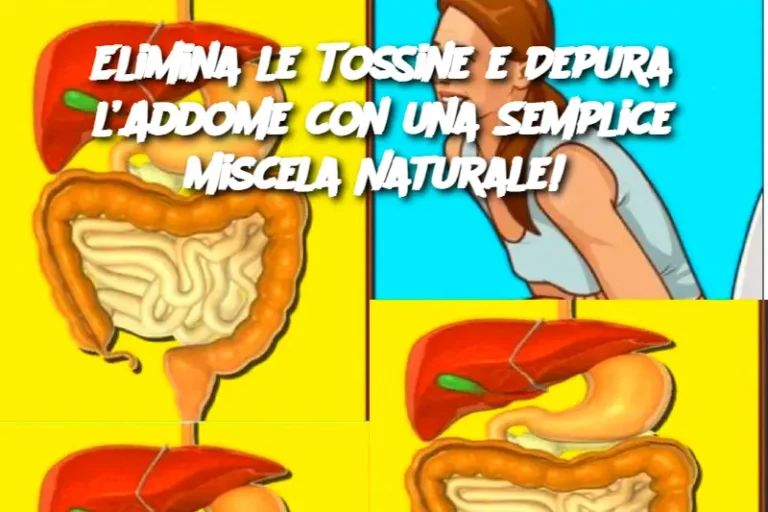 Elimina le Tossine e Depura l’Addome con una Semplice Miscela Naturale!
