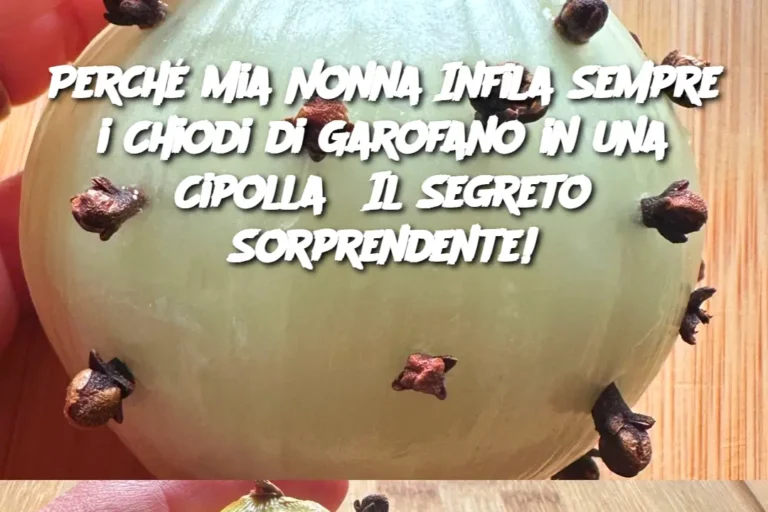 Perché Mia Nonna Infila Sempre i Chiodi di Garofano in una Cipolla? Il Segreto Sorprendente!
