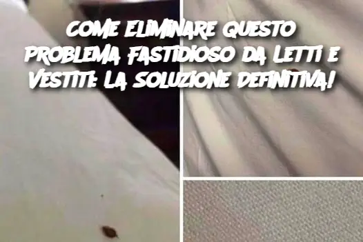 Come Eliminare Questo Problema Fastidioso da Letti e Vestiti: La Soluzione Definitiva!