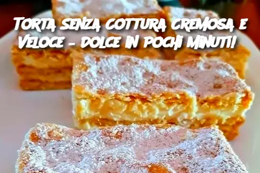 Torta Senza Cottura Cremosa e Veloce – Dolce in Pochi Minuti!