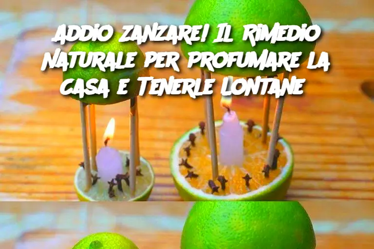 Addio Zanzare! Il Rimedio Naturale per Profumare la Casa e Tenerle Lontane 