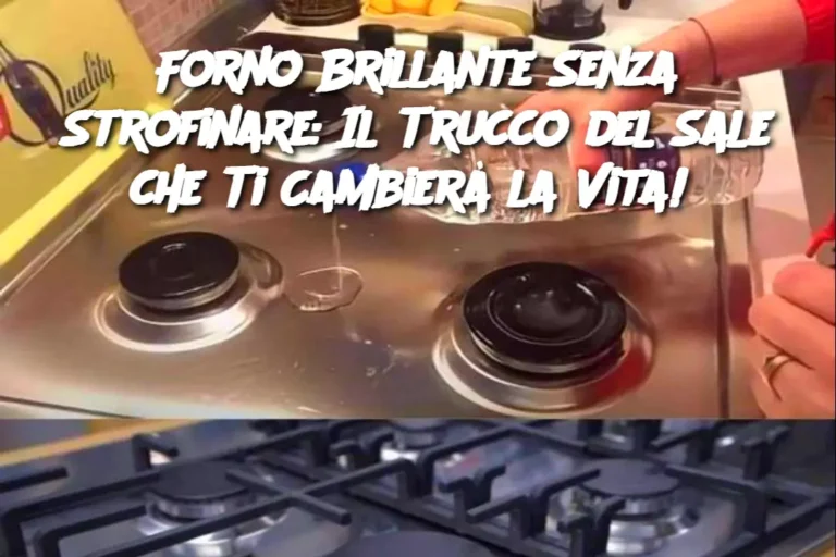 Forno Brillante Senza Strofinare: Il Trucco del Sale che Ti Cambierà la Vita! 