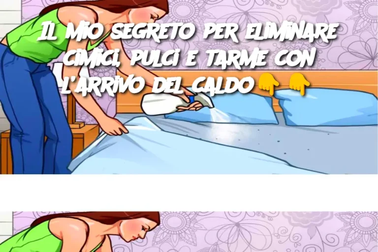 Il mio segreto per eliminare cimici, pulci e tarme con l’arrivo del caldo