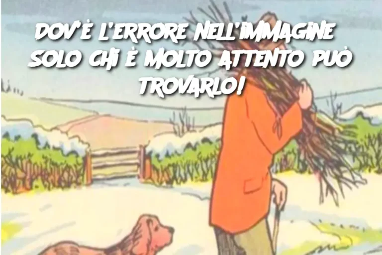 Dov’è l’errore nell’immagine? Solo chi è molto attento può trovarlo!