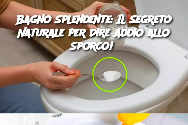 Bagno Splendente: Il Segreto Naturale per Dire Addio allo Sporco! 