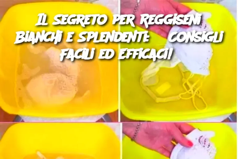 Il Segreto per Reggiseni Bianchi e Splendenti: 3 Consigli Facili ed Efficaci!