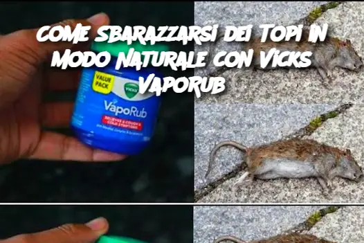 Come Sbarazzarsi dei Topi in Modo Naturale con Vicks VapoRub