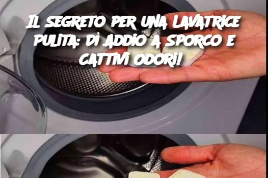 Il Segreto per una Lavatrice Pulita: Dì Addio a Sporco e Cattivi Odori! 