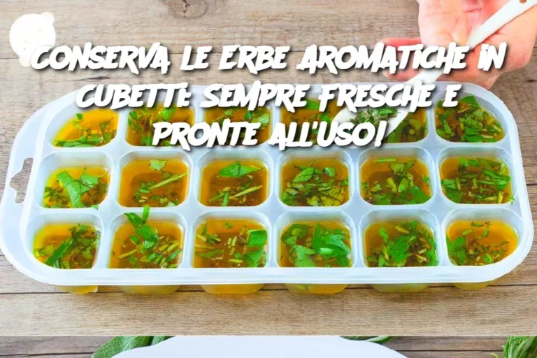 Conserva le Erbe Aromatiche in Cubetti: Sempre Fresche e Pronte all'Uso!