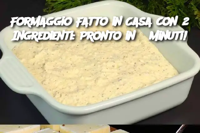 Formaggio Fatto in Casa con 2 Ingredienti: Pronto in 6 Minuti!