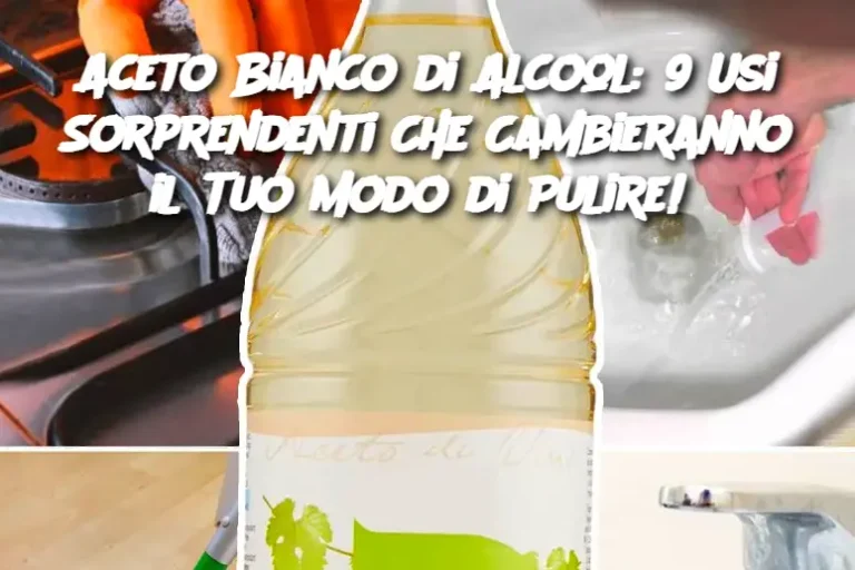 Aceto Bianco di Alcool: 9 Usi Sorprendenti Che Cambieranno il Tuo Modo di Pulire! 