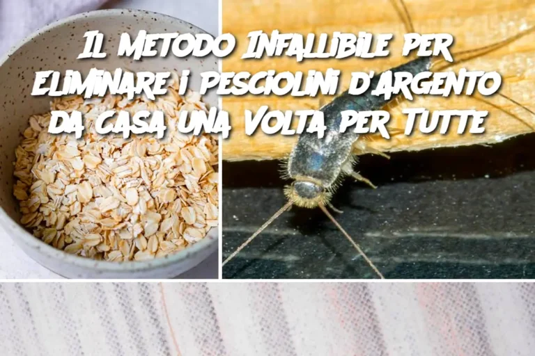 Il Metodo Infallibile per Eliminare i Pesciolini d'Argento da Casa una Volta per Tutte