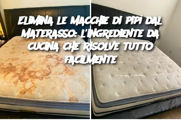 Elimina le macchie di pipì dal materasso: l'ingrediente da cucina che risolve tutto facilmente