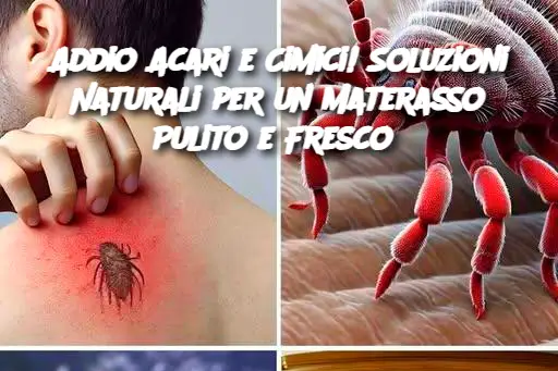 Addio Acari e Cimici! Soluzioni Naturali per un Materasso Pulito e Fresco 
