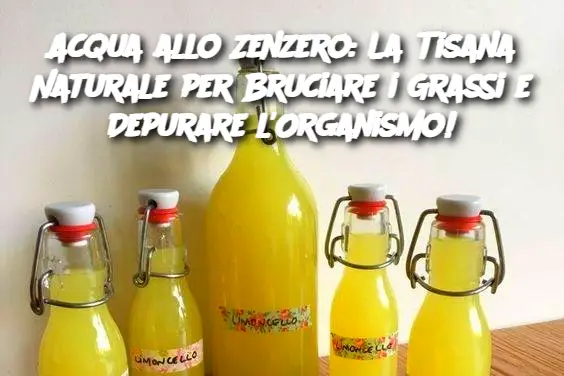 Acqua allo Zenzero: La Tisana Naturale per Bruciare i Grassi e Depurare l'Organismo!