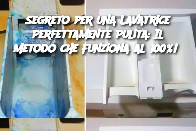 Segreto per una Lavatrice Perfettamente Pulita: Il Metodo che Funziona al 100%!
