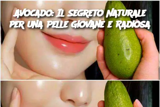 Avocado: Il Segreto Naturale per una Pelle Giovane e Radiosa