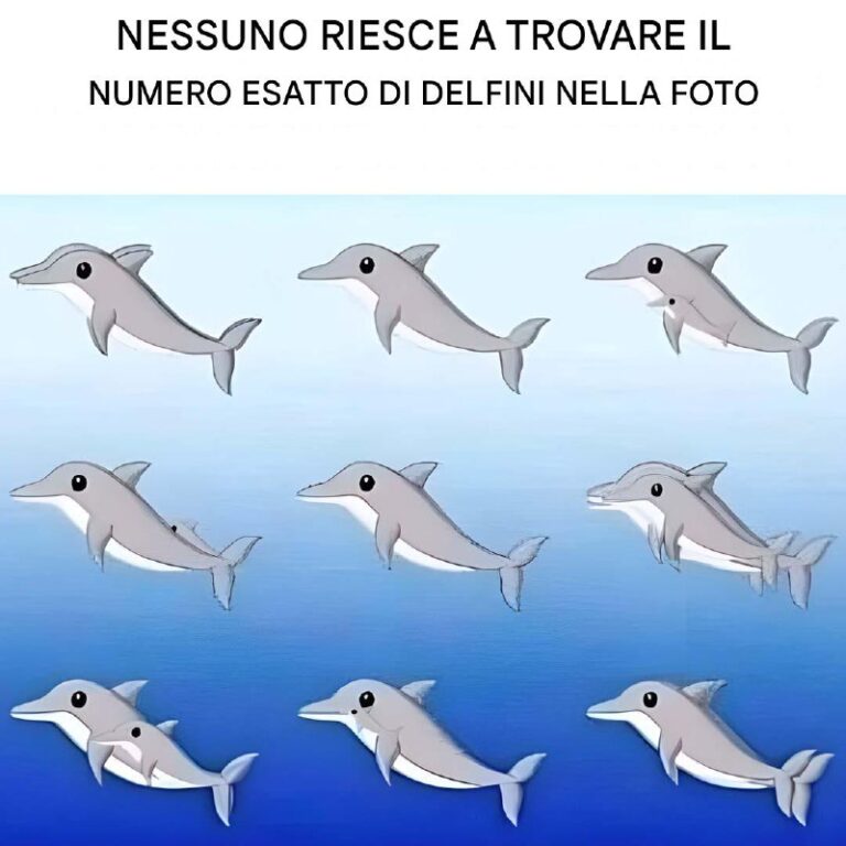 Quanti delfini riesci a individuare nell’immagine?