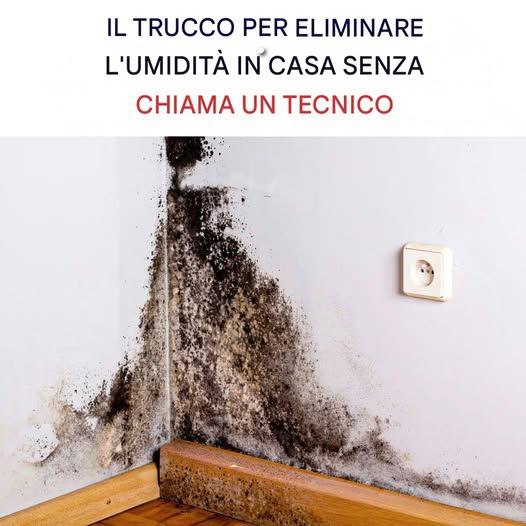 Come eliminare l’umidità in casa?