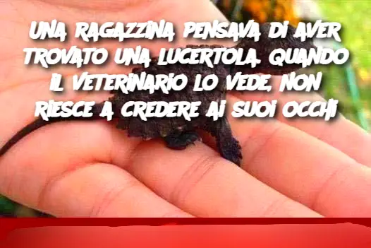 Una ragazzina pensava di aver trovato una lucertola. Quando il veterinario lo vede, non riesce a credere ai suoi occhi