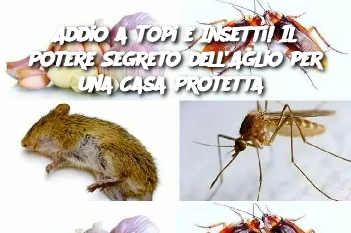 Addio a Topi e Insetti! Il Potere Segreto dell’Aglio per una Casa Protetta 