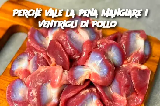 Perché vale la pena mangiare i ventrigli di pollo?