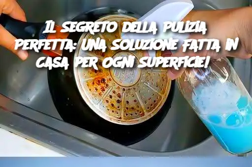 Il Segreto della Pulizia Perfetta: Una Soluzione Fatta in Casa per Ogni Superficie! 