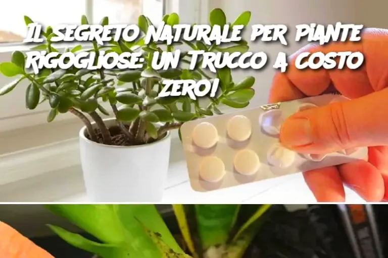 Il Segreto Naturale per Piante Rigogliose: Un Trucco a Costo Zero! 
