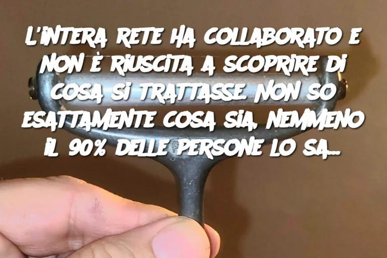 L'intera rete ha collaborato e non è riuscita a scoprire di cosa si trattasse. Non so esattamente cosa sia, nemmeno il 90% delle persone lo sa...