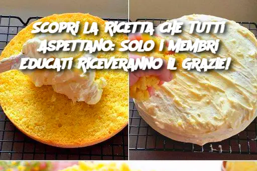 Scopri la Ricetta che Tutti Aspettano: Solo i Membri Educati Riceveranno il Grazie! 