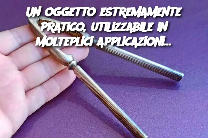 Un oggetto estremamente pratico, utilizzabile in molteplici applicazioni…