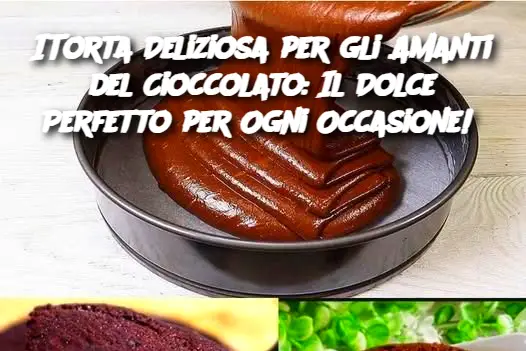 ITorta Deliziosa per gli Amanti del Cioccolato: Il Dolce Perfetto per Ogni Occasione! 