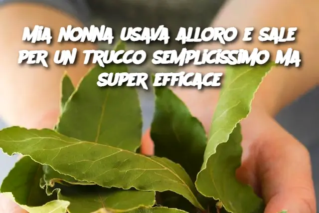 Mia nonna usava alloro e sale per un trucco semplicissimo ma super efficace