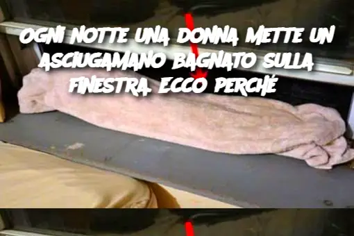 Ogni notte una donna mette un asciugamano bagnato sulla finestra. Ecco perché