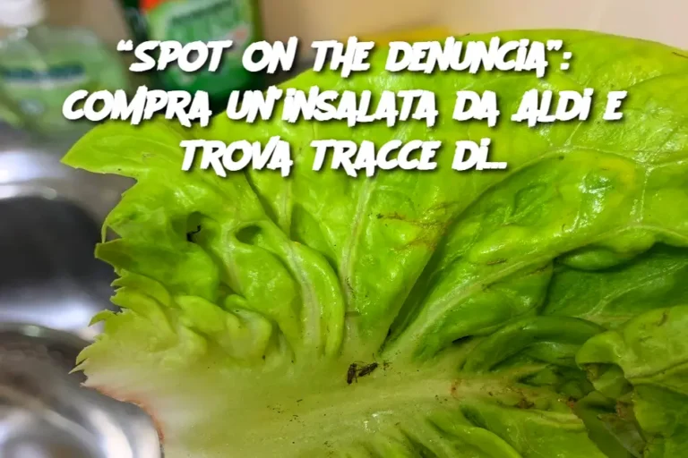 Vado a sporgere denuncia”: compra un'insalata da Aldi e scopre tracce di...