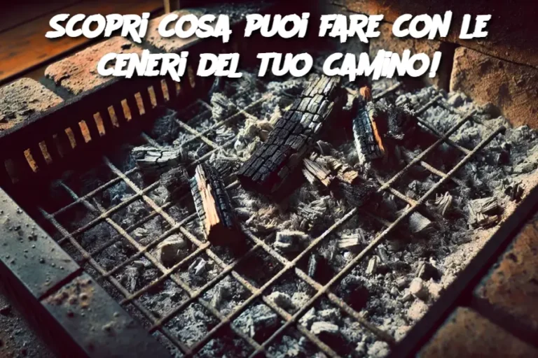 Scopri cosa puoi fare con le ceneri del tuo camino!